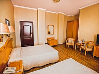 Стандарт твин