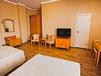 Стандарт твин