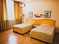 Стандарт твин