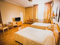 Стандарт твин