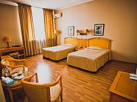 Стандарт твин